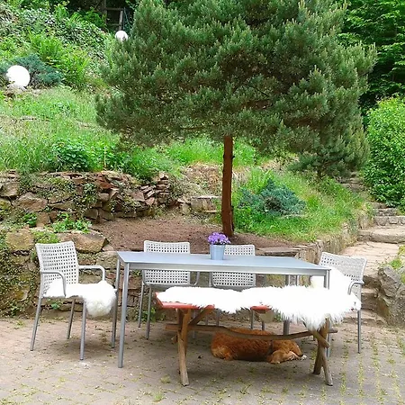 Kleine Stadtoase Holiday home *
